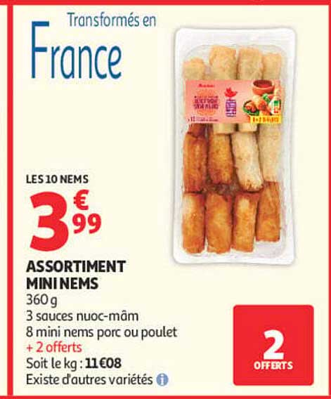 LES 10 NEMS