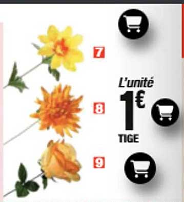 L’unité 1€ TIGE