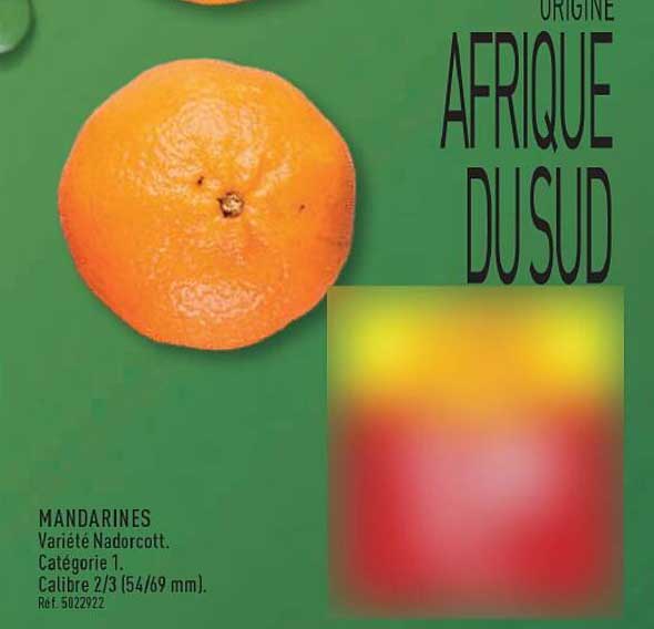MANDARINES Variété Nadorcott. Catégorie 1. Calibre 2/3 (54/69 mm). Réf. 5029222
