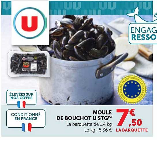 MOULE DE BOUCHOT STG(5)
