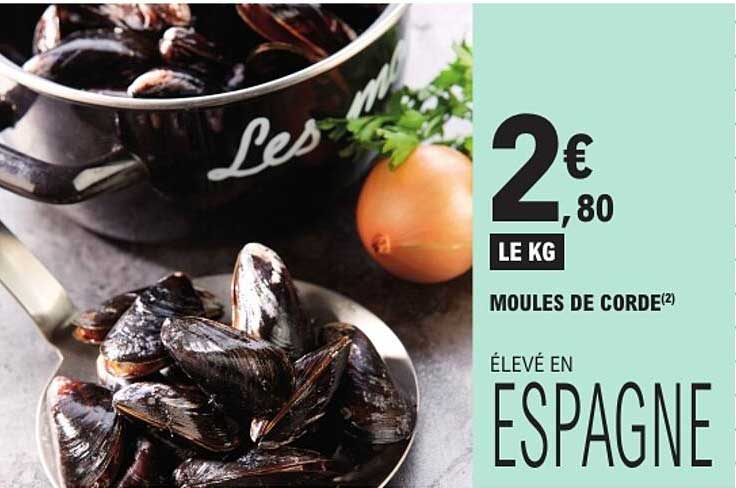 MOULES DE CORDE(2)