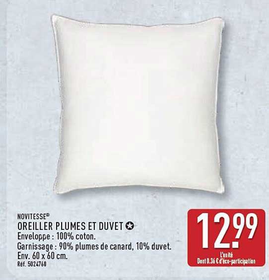 OREILLER PLUMES ET DUVET