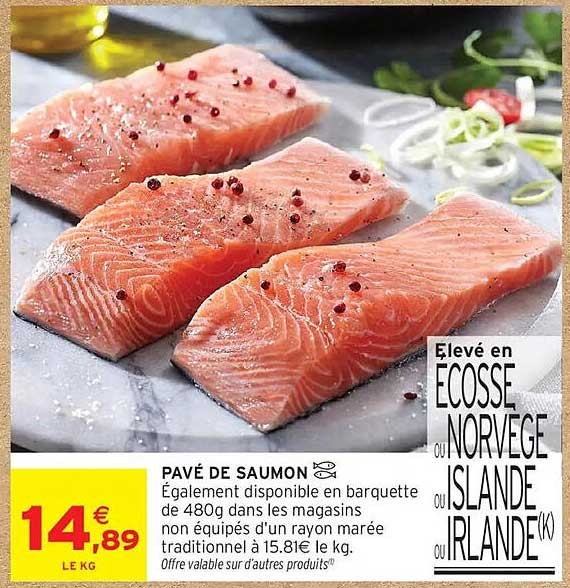 PAVÉ DE SAUMON