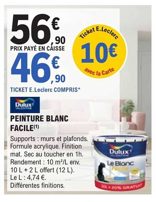 PEINTURE BLANC FACILE(1)