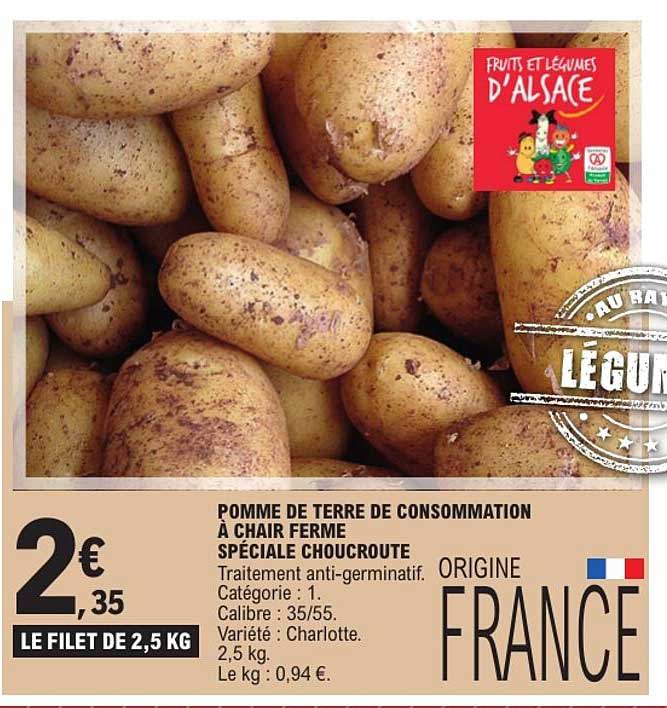 POMME DE TERRE DE CONSOMMATION À CHAIR FERME SPÉCIALE CHOUCROUTE