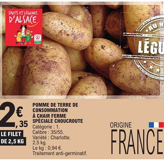 POMME DE TERRE DE CONSOMMATION À CHAIR FERME SPÉCIALE CHOUCROUTE