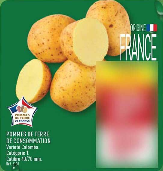 POMMES DE TERRE DE CONSOMMATION