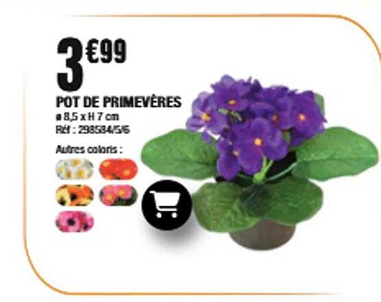POT DE PRIMEVÈRES
