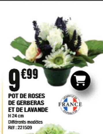 POT DE ROSES DE GERBERAS ET DE LAVANDE