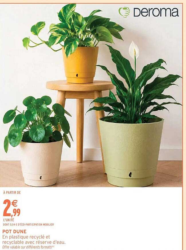 POT D'UNE