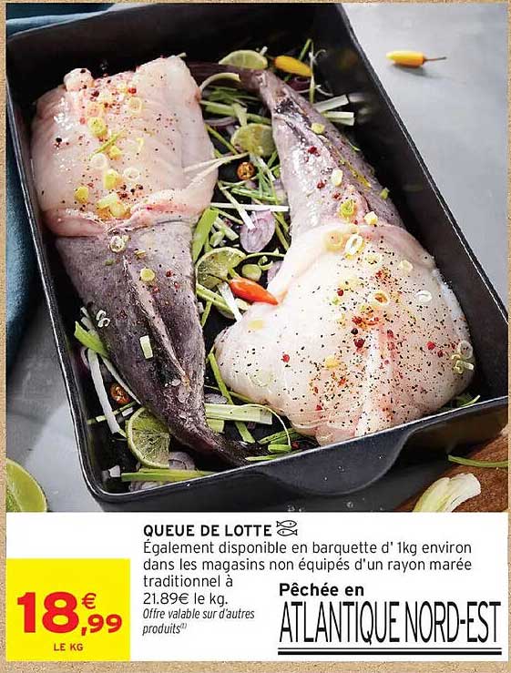 QUEUE DE LOTTE