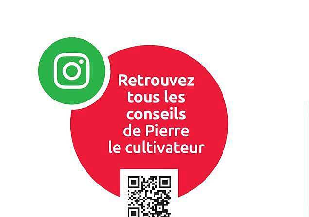 Retrouvez tous les conseils de Pierre le cultivateur