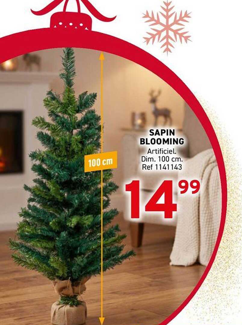 SAPIN BLOOMING