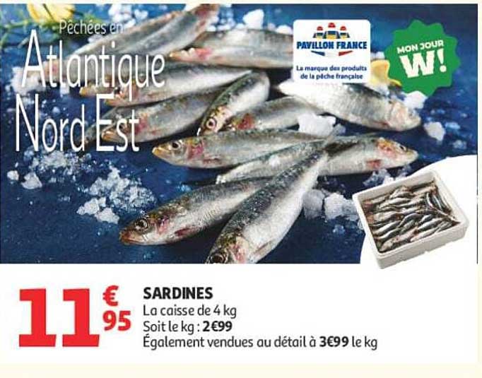 SARDINES
