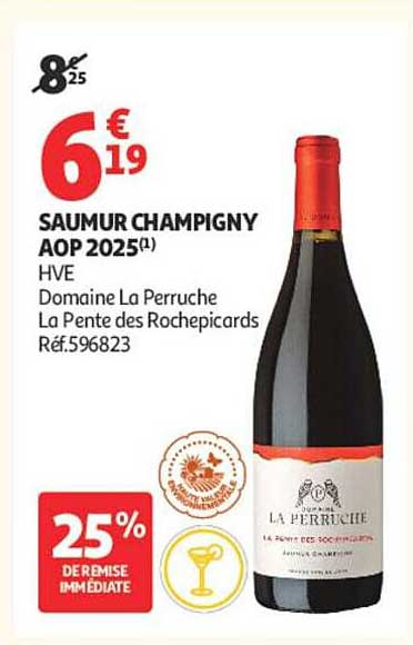 SAUMUR CHAMPIGNY AOP 2025(1) HVE Domaine La Perruche La Pente des Rochepicards Réf.596823
