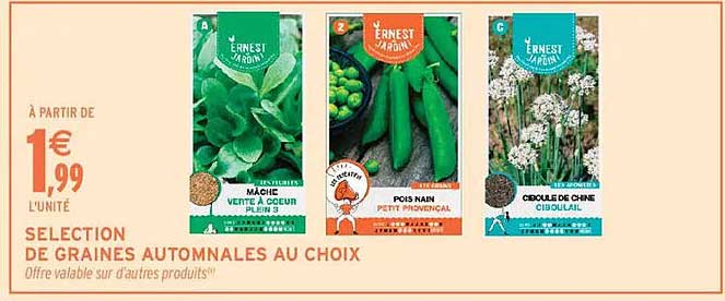 SÉLECTION DE GRAINES AUTOMNALES AU CHOIX