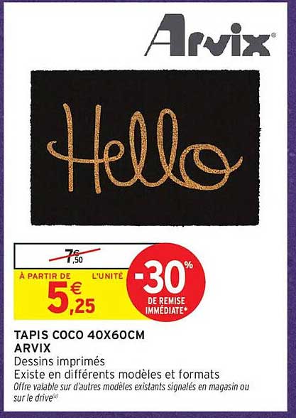 TAPIS COCO 40X60CM ARVIX