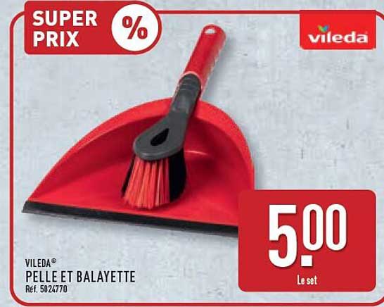 VILEDA PELLE ET BALAYETTE Réf. 5024770