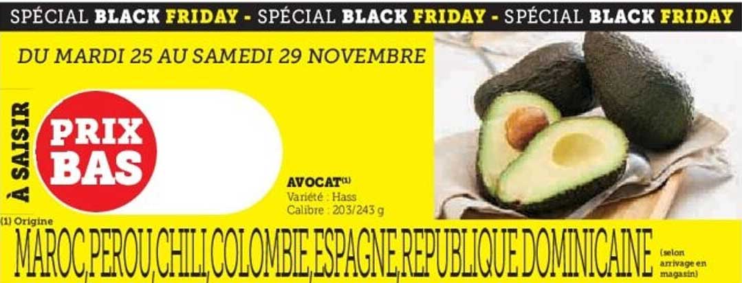 AVOCAT - Spécial Black Friday