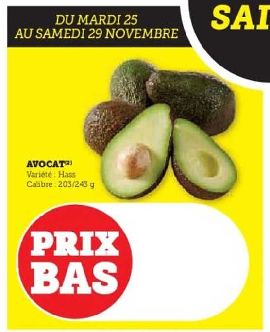 AVOCAT