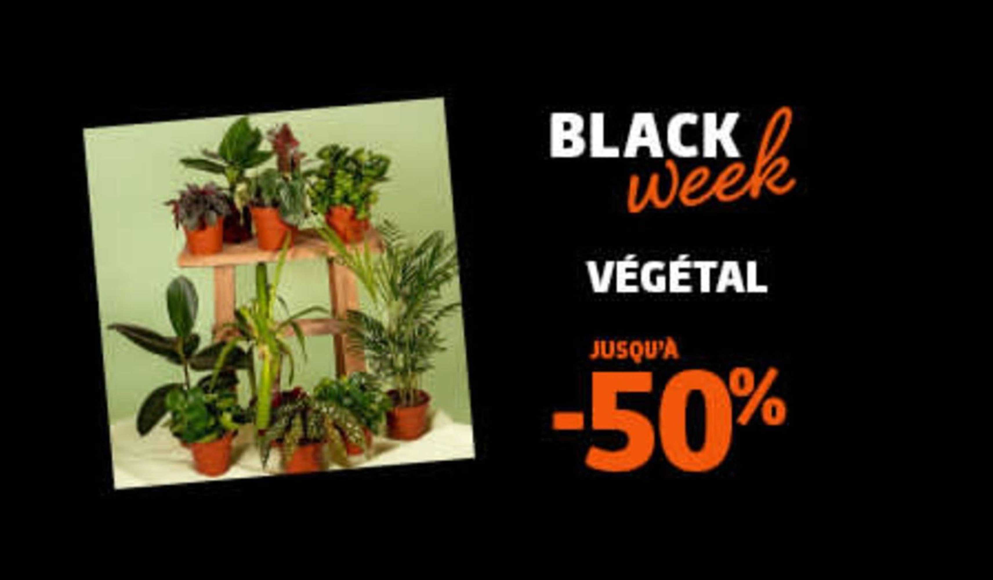BLACK WEEK VÉGÉTAL JUSQU'À -50%
