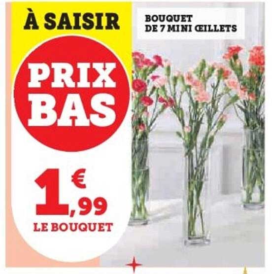 Bouquet de 7 mini œillets