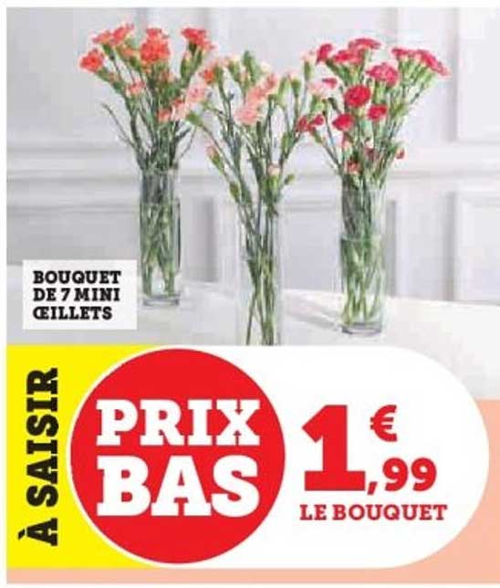 Bouquet de 7 mini œillets