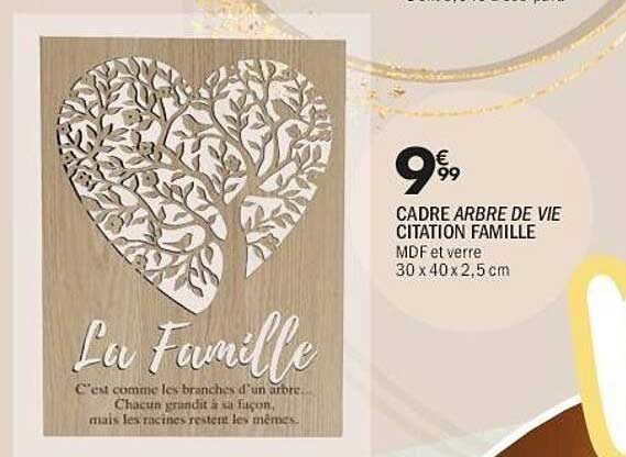 CADRE ARBRE DE VIE CITATION FAMILLE