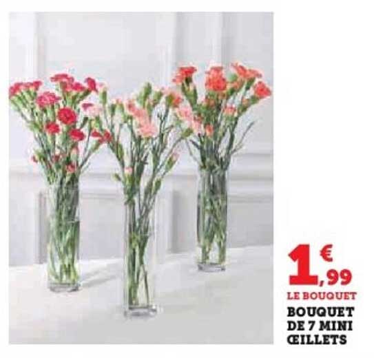 LE BOUQUET DE 7 MINI CEILLETS