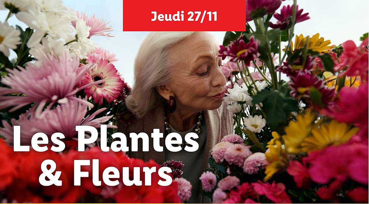 Les Plantes & Fleurs