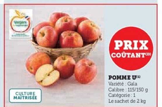POMME U