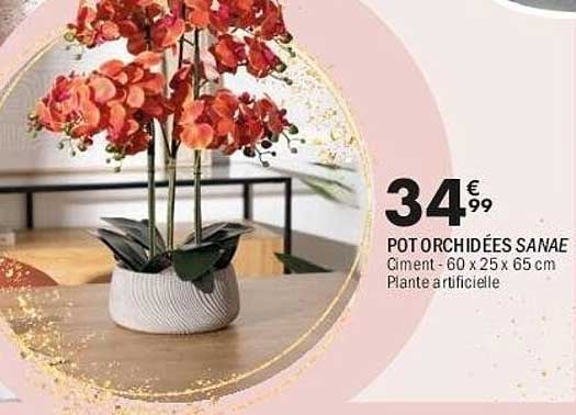 POT ORCHIDÉES SANAÉ