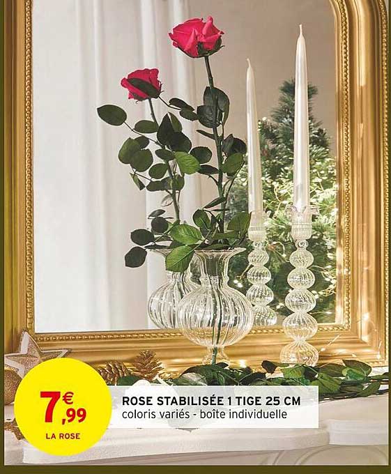 ROSE STABILISÉE 1 TIGES 25 CM