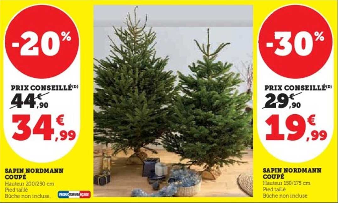 SAPIN NORDMANN COUPÉ