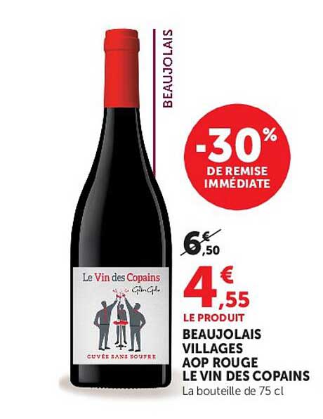 BEAUJOLAIS VILLAGES AOP ROUGE LE VIN DES COPAINS
