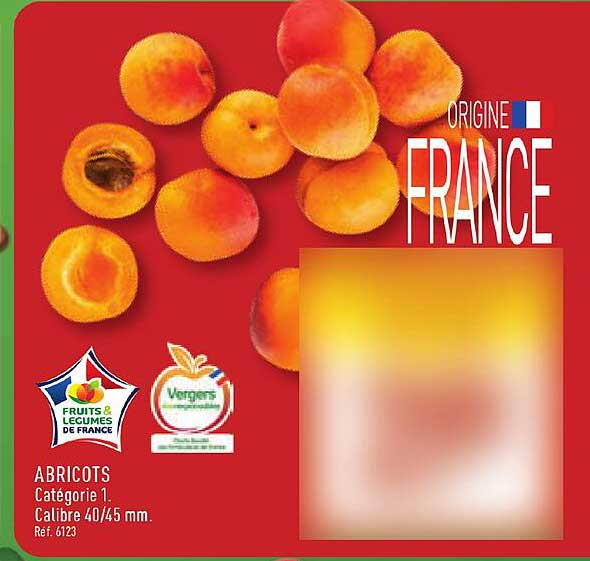 ABRICOTS
