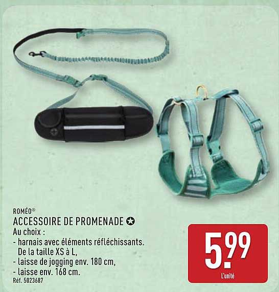 ACCESSOIRE DE PROMENADE