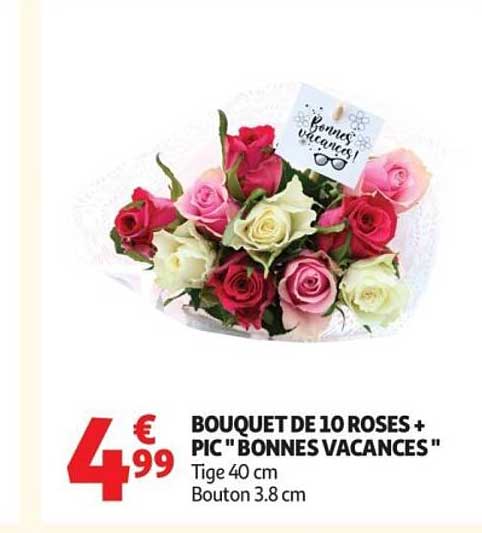BOUQUET DE 10 ROSES + PIC "BONNES VACANCES"