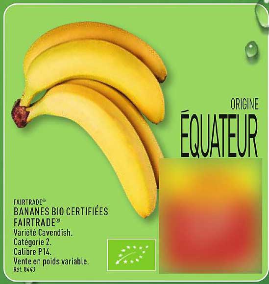 FAIRTRADE® BANANES BIO CERTIFIÉES FAIRTRADE® Variété Cavendish. Catégorie 2. Calibre P14. Vente en poids variable. Réf. 8443