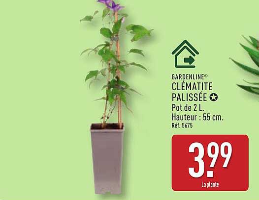 GARDENLINE® CLÉMATITE PALISSÉE