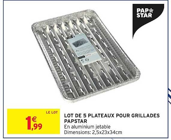 LOT DE 5 PLATEAUX POUR GRILLADES PAPSTAR