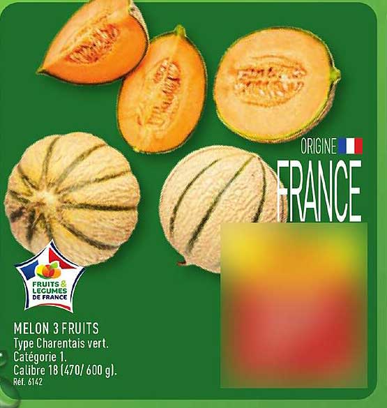 MELON 3 FRUITS