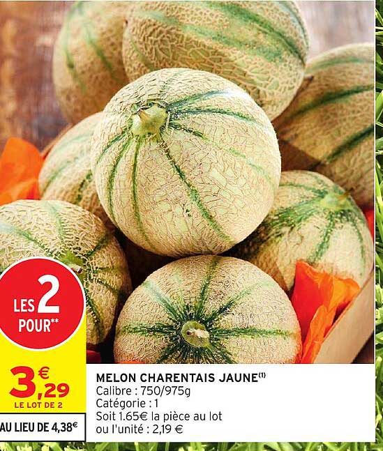 MELON CHARENTAIS JAUNE(1)