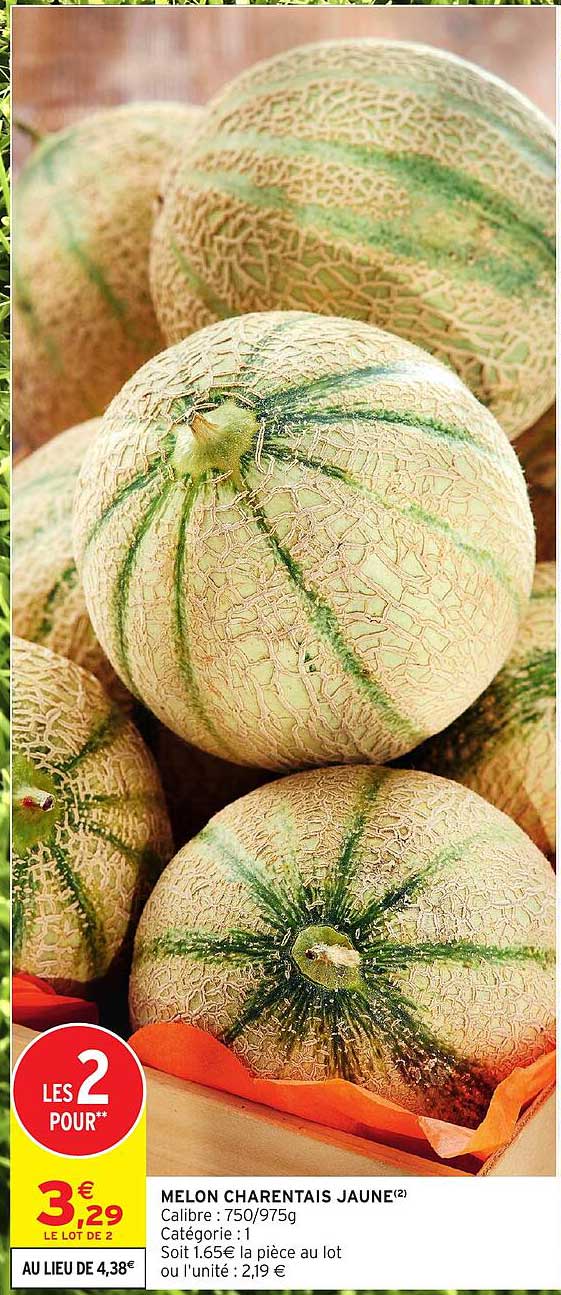 MELON CHARENTAIS JAUNE(2)