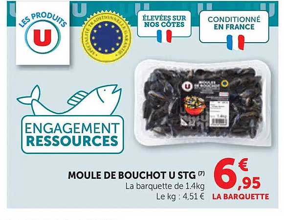 MOULE DE BOUCHOT U STG (7)