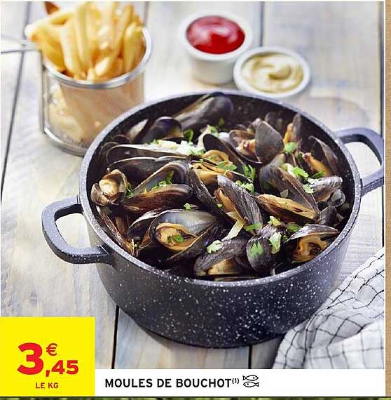 MOULES DE BOUCHOT