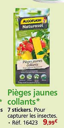Pièges jaunes collants