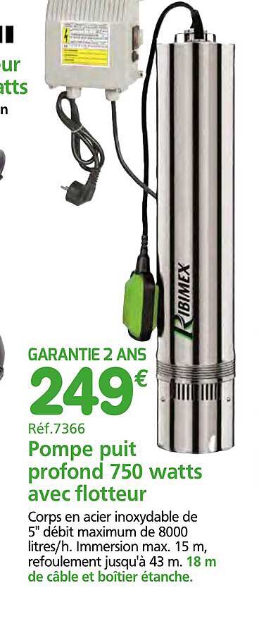 Pompe puits profond 750 watts avec flotteur