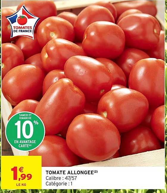 TOMATE ALLONGEE(2)