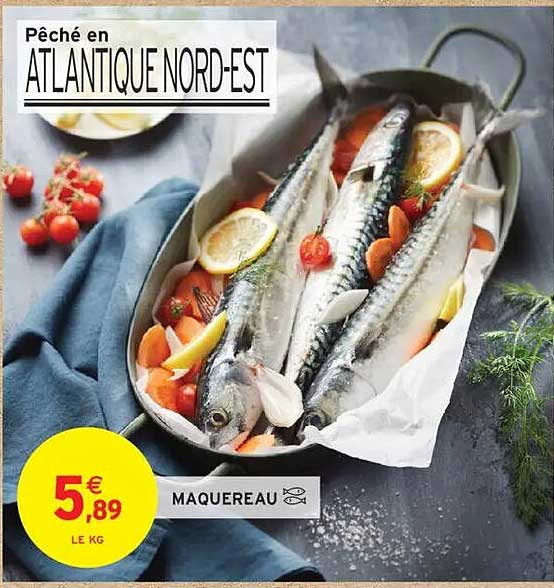 MAQUEREAU Pêché en ATLANTIQUE NORD-EST